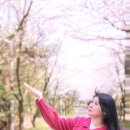 주식회사 더세이프렌터카 | 제주도 렌트카 할인 비용 가격비교 더세이프렌터카