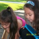 복실강아지 이미지