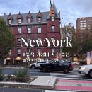 뉴욕파크 호스텔 | 뉴욕 센트럴파크 주변 가성비 숙소 추천, 하이 뉴욕 호스텔 6인실 후기