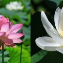 이동(내동) 마을회관 이미지