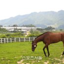 승용목장 이미지