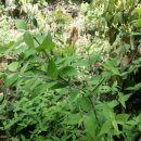 수망리청년회 이미지