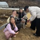 거북바위펜션 | 어머니 생신기념 가족모임 펜션 방문기 서후리141