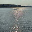 이마트24 옥동아라점 | 김포 호캉스ㅣ호텔 마리나베이 서울 (프리미어 패밀리 트윈-마리나비스트로, 수영장, 조식) 후기