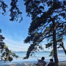 솔밭민박 이미지