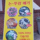 논뚜렁 메기