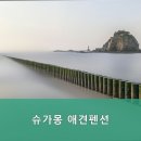슈가몽 애견펜션 이미지