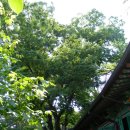 [서울] 부처님오신날 도심 사찰 나들이, 북촌 칠보사~안국동 선학원 ＜석정보름우물＞ 이미지