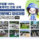 캐디세상협회
