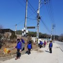 이태구 카카오 검색결과