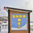 먹거리 | 안성빙어축제 가격 준비물 입장료 및 주차 먹거리 후기