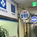벨라인비