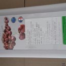 (주)지앤엘 네이버블로그
