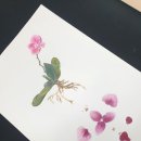 보테니컬아트 이미지