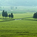 대한농장2 이미지