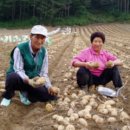 만능효소 이미지