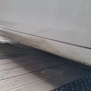 태평양카독크 이미지