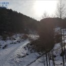 에이스목장 이미지