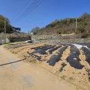 파주연부동산공인중개사사무소 이미지