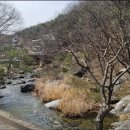 사나사(사찰 앞) 네이버블로그