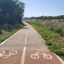 요천제방길 이미지