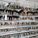 산업용재관 이미지