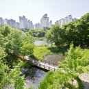 구룡공원 이미지