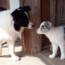 부곡파출소 버스정류장 이미지