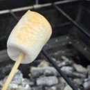 한강공원 난지캠핑장 | 난지한강공원 캠핑장 오전타임 예약 방문후기, 주말 봄나들이 추천! (+봄동비빔밥)