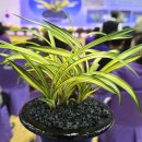 신안군민체육관 체육관 이미지