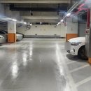 청명남로 25 앞 이미지