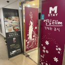 엘림 | 제주 서귀포 엘림아로마에서 두피관리 받은 후기! 비위 주의