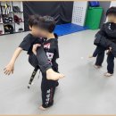 화랑합기도 특공무술 이미지