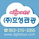 효성항공여행사