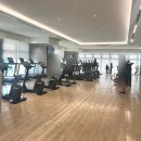 티탄 피트니스 (Titan fitness) 이미지