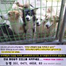 강내집