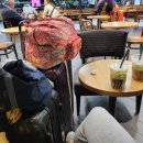 264 | [🇵🇹포르투갈 여행] 리스본&amp;포르투 여행(15) 에어프랑스 AF1125, AF264 후기(기내식/리스본 공항노숙)