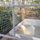 복덕농장 이미지