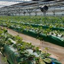 사례농장 이미지