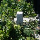 규포마을회관 이미지