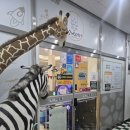 신정이펜1로(동측) | 양천구 키즈카페 추천 모래놀이 가능한 꼬마노리터(Ft.뷰맛집)