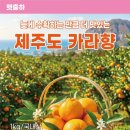 대한아토피협동조합