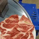 한우와바다 이미지