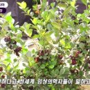 온달농장 이미지