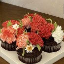 어브(aube) 이미지