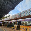 벚꽃마을 | 진안 마이산 밥집 벚꽃마을가든 산채비빔밥세트 후기