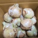 광평농장 이미지