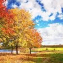 마크라메 공예 이미지