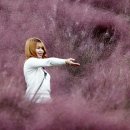 정읍사공원 이미지