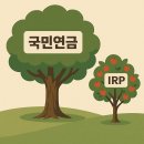 똑소리 나는 노후준비, 국민연금과 함께 | IRP 900만원 넣고 148만원 환급! 2025년 노후 준비, 국민연금만 믿다가 큰일 날 뻔한 후기 (3040 필독)